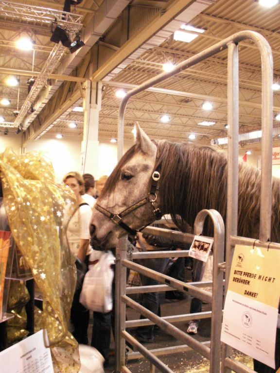 Panchir beobachtet am Stand interessiert das Geschehen