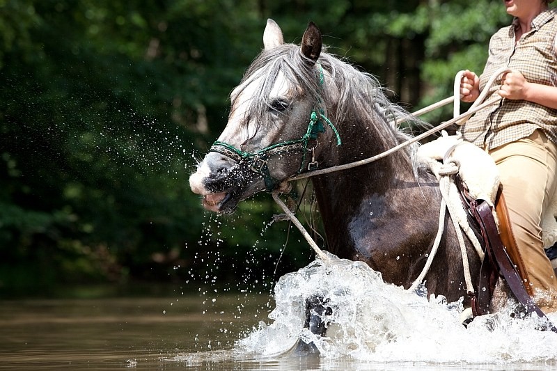 "Wie Tanja, Du willst nicht weiter rein... Brems' doch nicht so....Ist doch schön hier im Wasser!"  ;-)  Foto: www.farah-diba.de