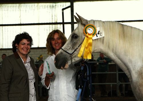 Ghazal, Gewinner des Wallachchampionats