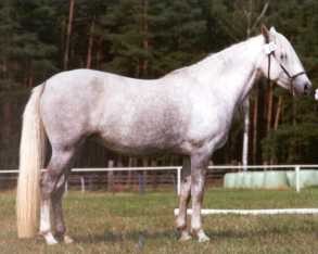 Ulisha Berber Eintragung 2002