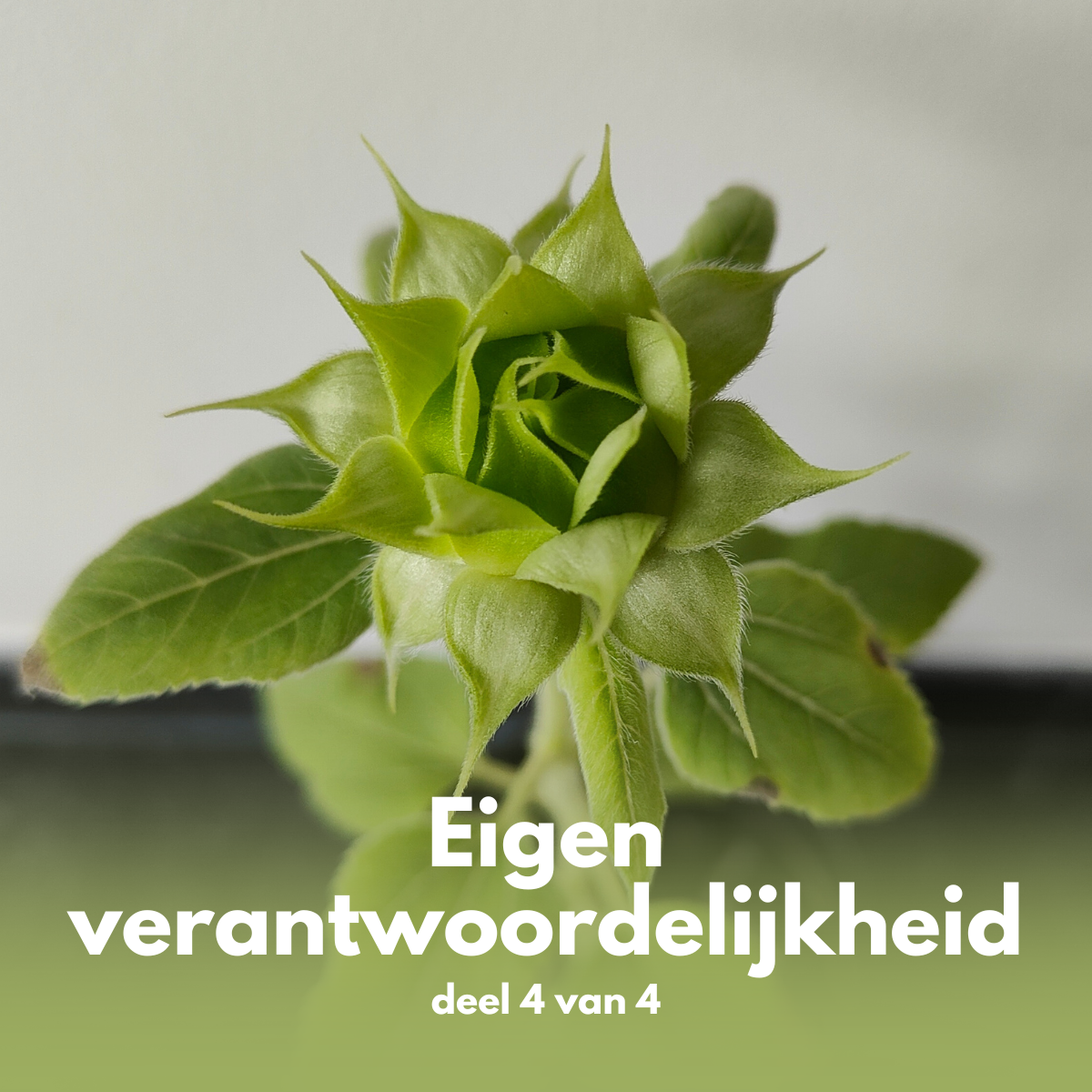 Eigen verantwoordelijkheid