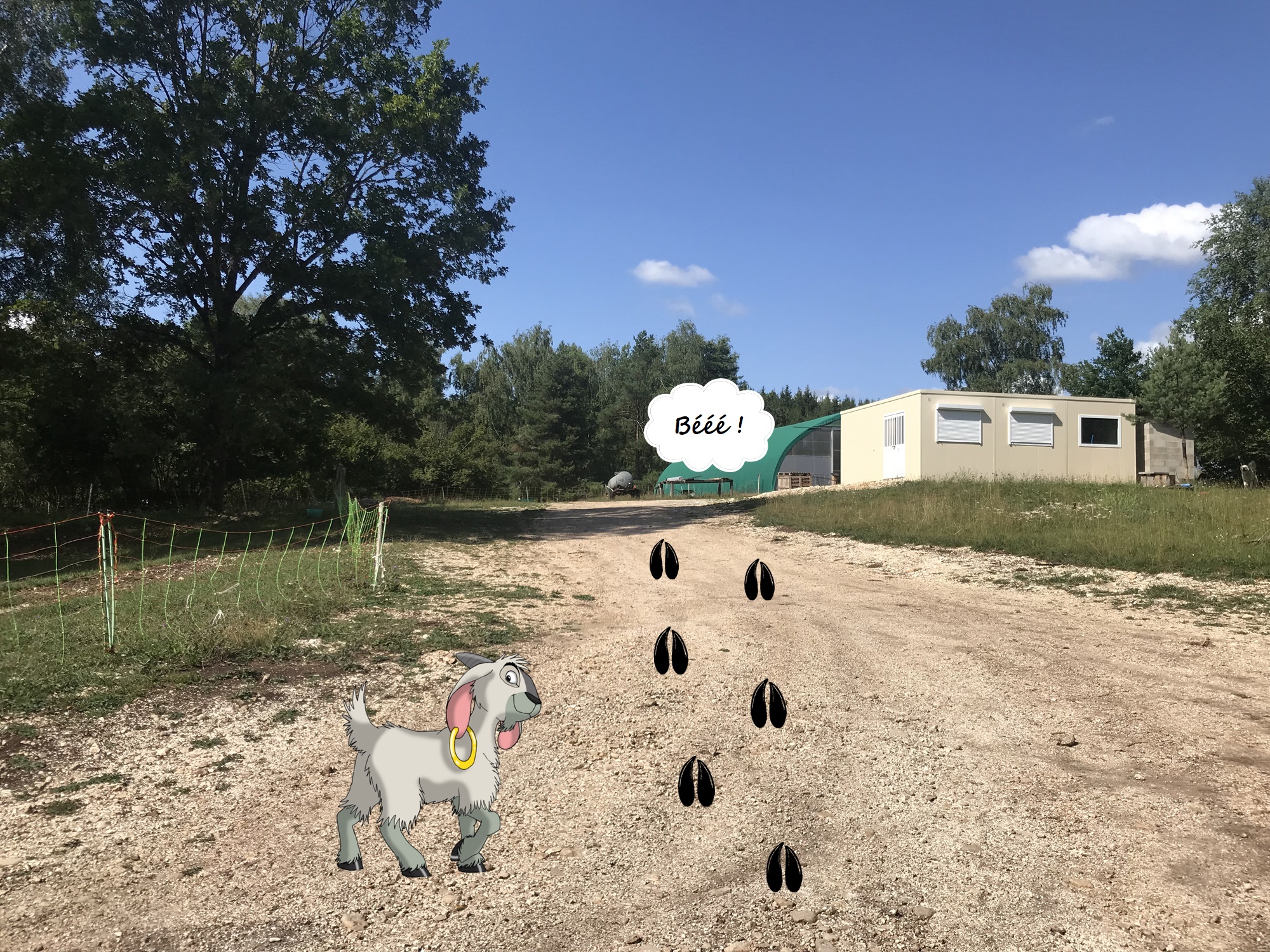 DERNIÈRE ETAPE 