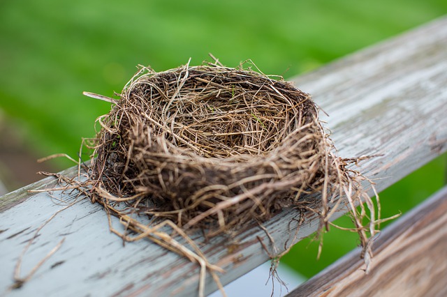 Un nido vuoto appoggiato su una recinzione, simbolo del momento in cui i figli lasciano casa e la coppia deve ritrovare un nuovo equilibrio.