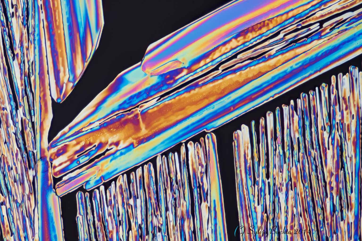 Bild: Natriumacetat, Mikrokristall, Stack am Mikroskop