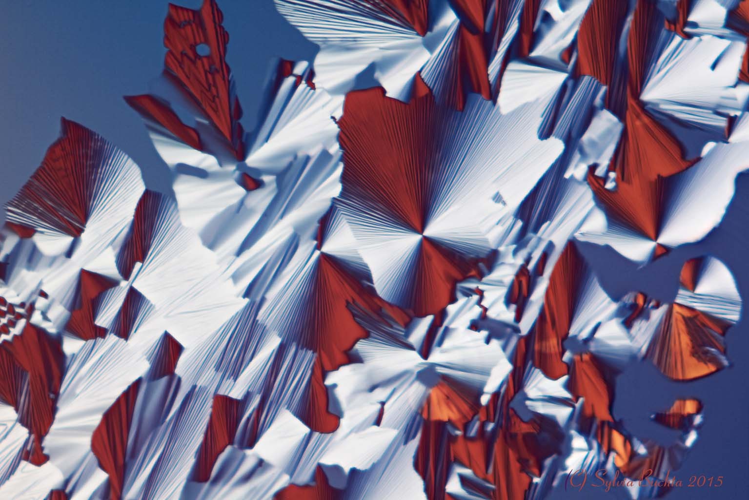 Bild: Flüssigseife, Mikrokristall, Verdunstung, Stack am Mikroskop
