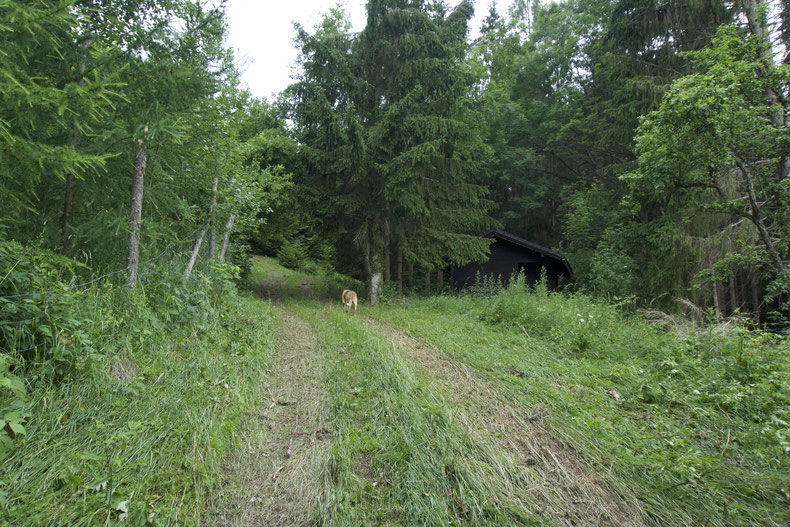 Vorbei an einer kleinen Hütte