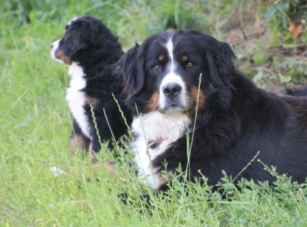 Alisia mit Carlotta