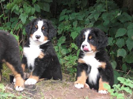 Lady-Franzi und Leni