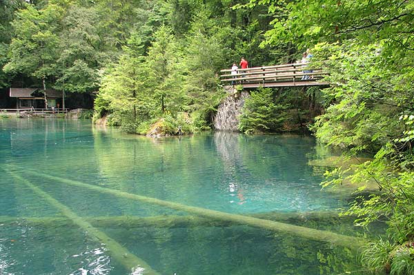 E-Bike Tour mit Gepäcktransport im Berner Oberland: Blausee Fische