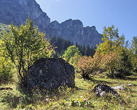 Weitwandern ohne Gepäck in der Westschweiz: Via Alpina Aufstieg zum Rocher de Naye