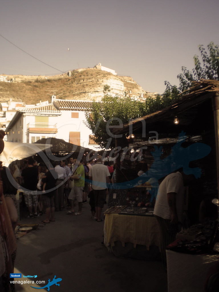 Mercado Argárico de Galera