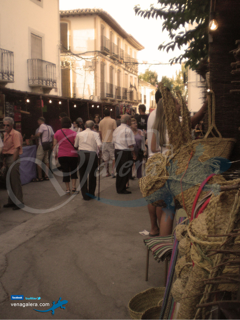 Mercado Argárico de Galera