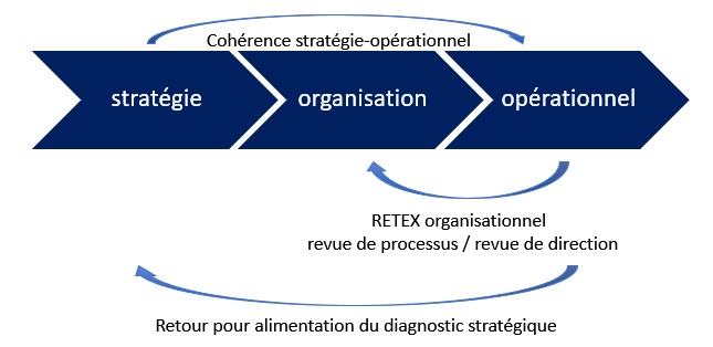 Les interactions entre les processus de management : le management stratégique, le management organisationnel, le management opérationnel.