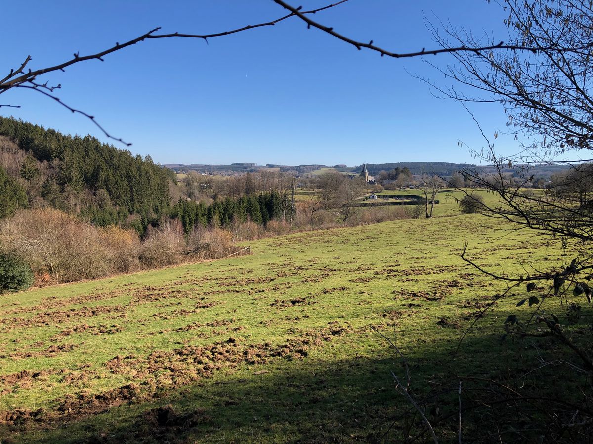 Altitude 445 | Découvrir la région | La commune | Paysage