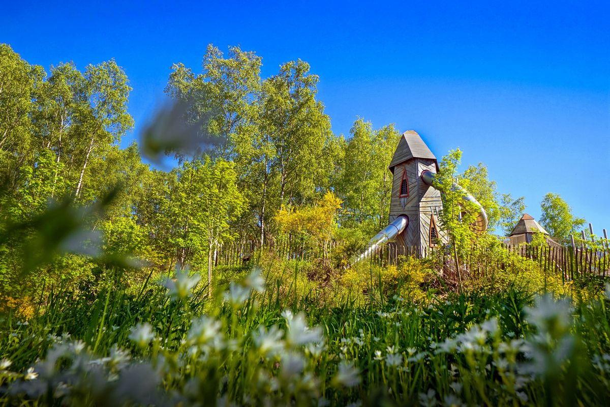 Altitude 445 | Ontdek de streek | De gemeente | Chlorophylle, recreatief bospark in Dochamps | ©IDELUX-AIVE, Arnaud Siquet