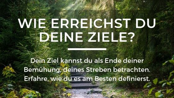 Wie erreichst du deine Ziele?