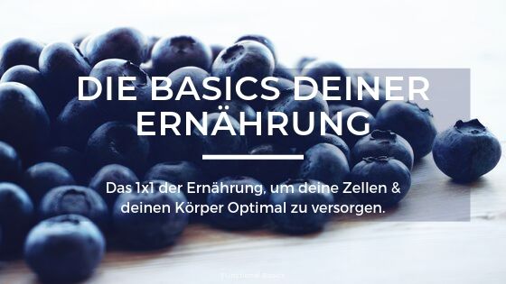 Gesunde Basics deiner Ernährung