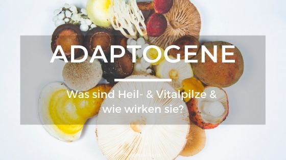 Was sind Adaptogene