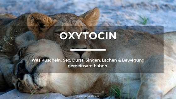 Oxytocin natürlich erhöhen