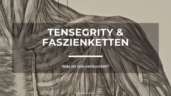 Tensegrity & Faszienketten