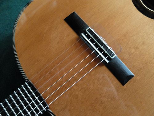 Lenvers guitar, ergonomic guitar, reverse guitar
