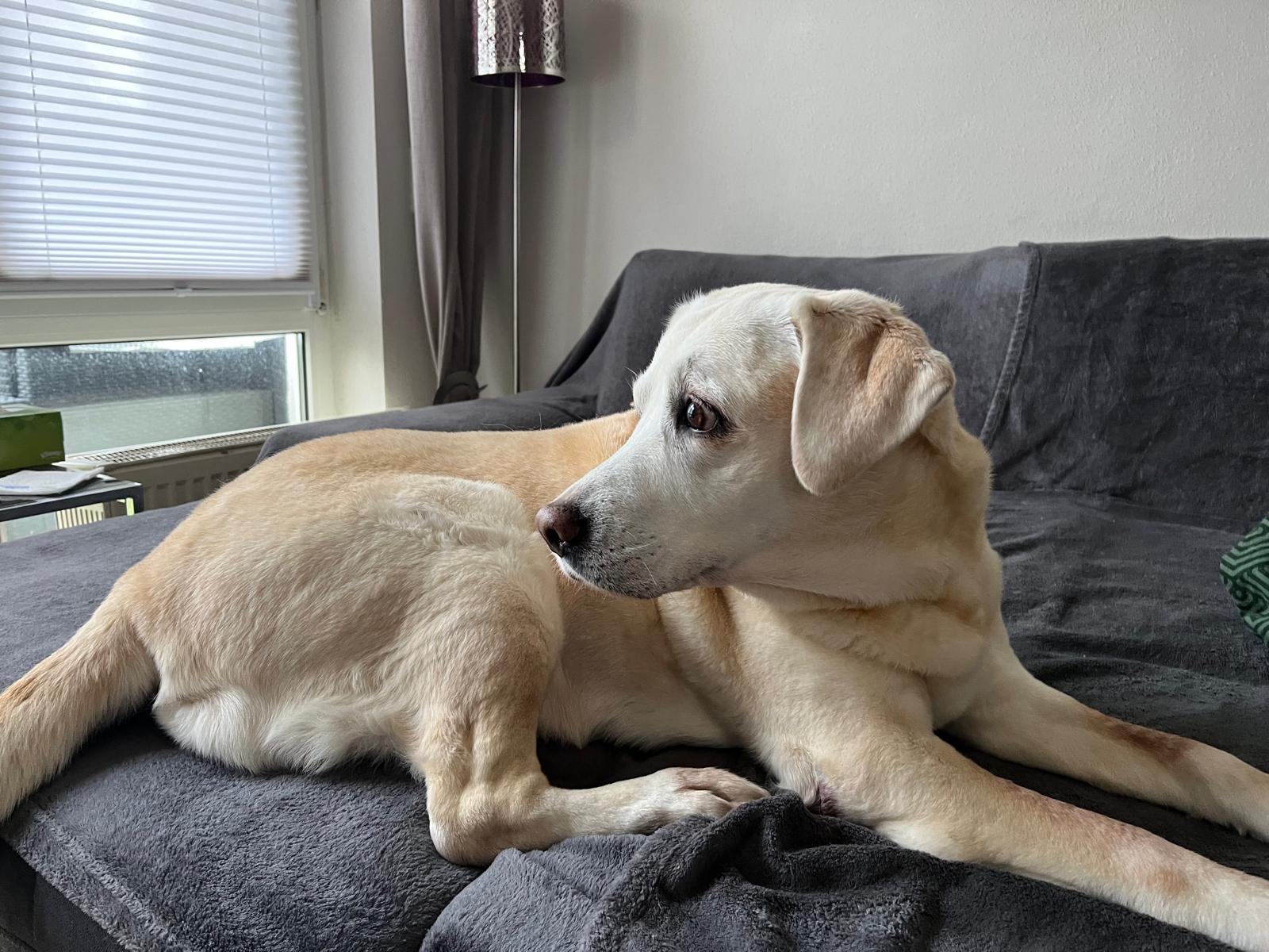 FINA, 14,5 Jahre alt - Luna x Stash