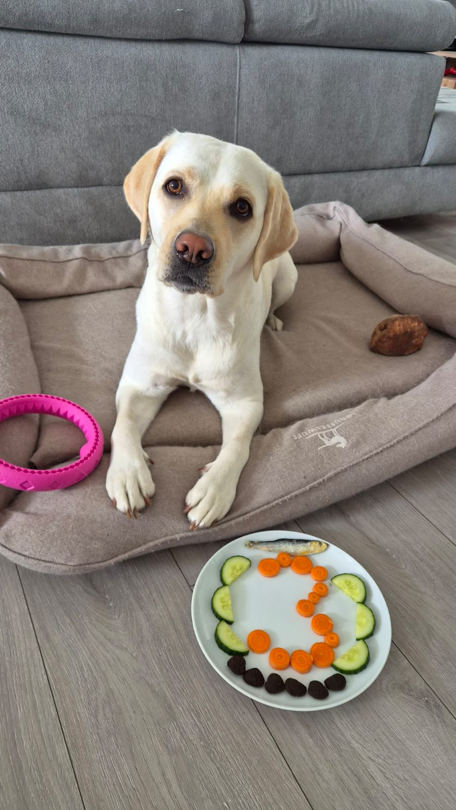 NALA