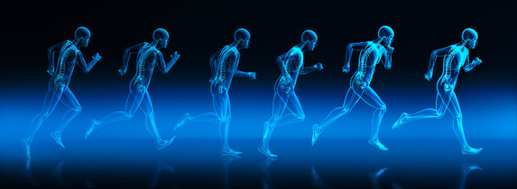 Fitness Germersheim