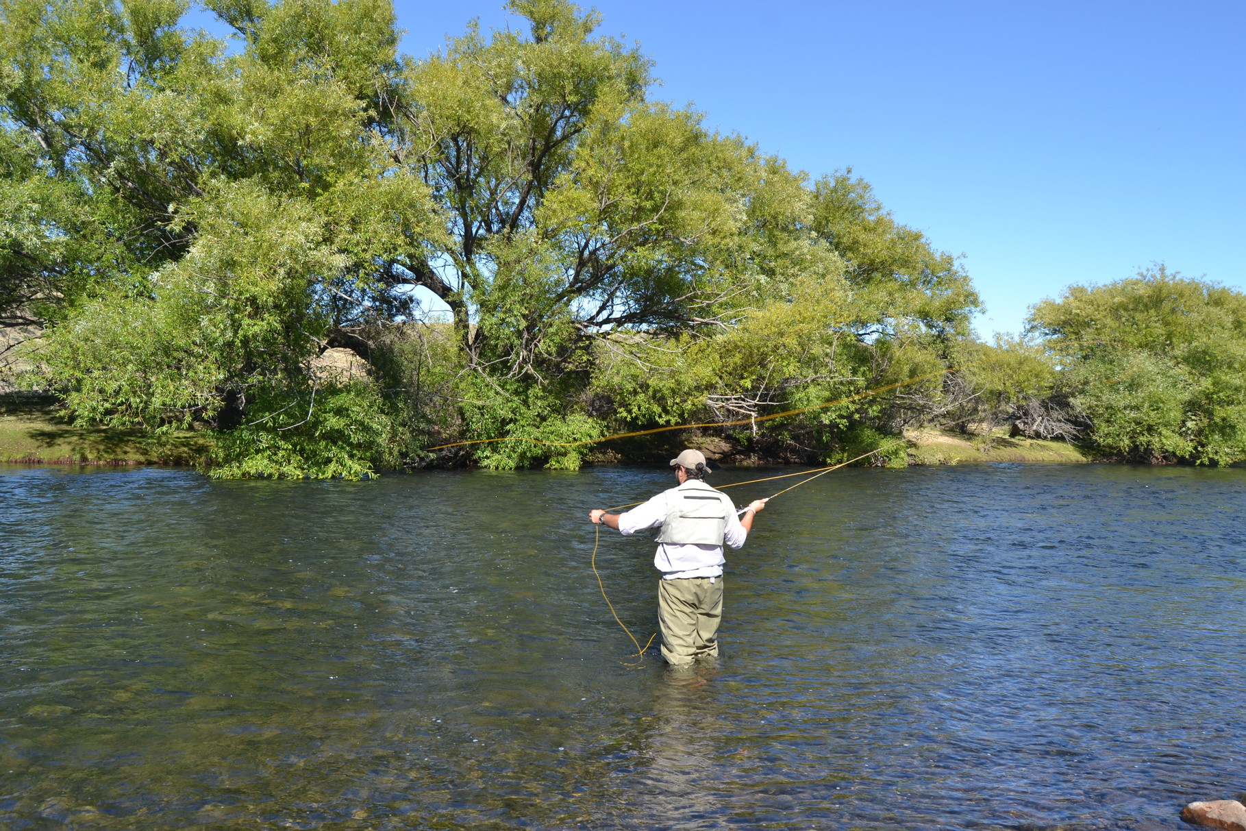 Pesca Con Mosca Villarrica Pesca Con Mosca Villarrica