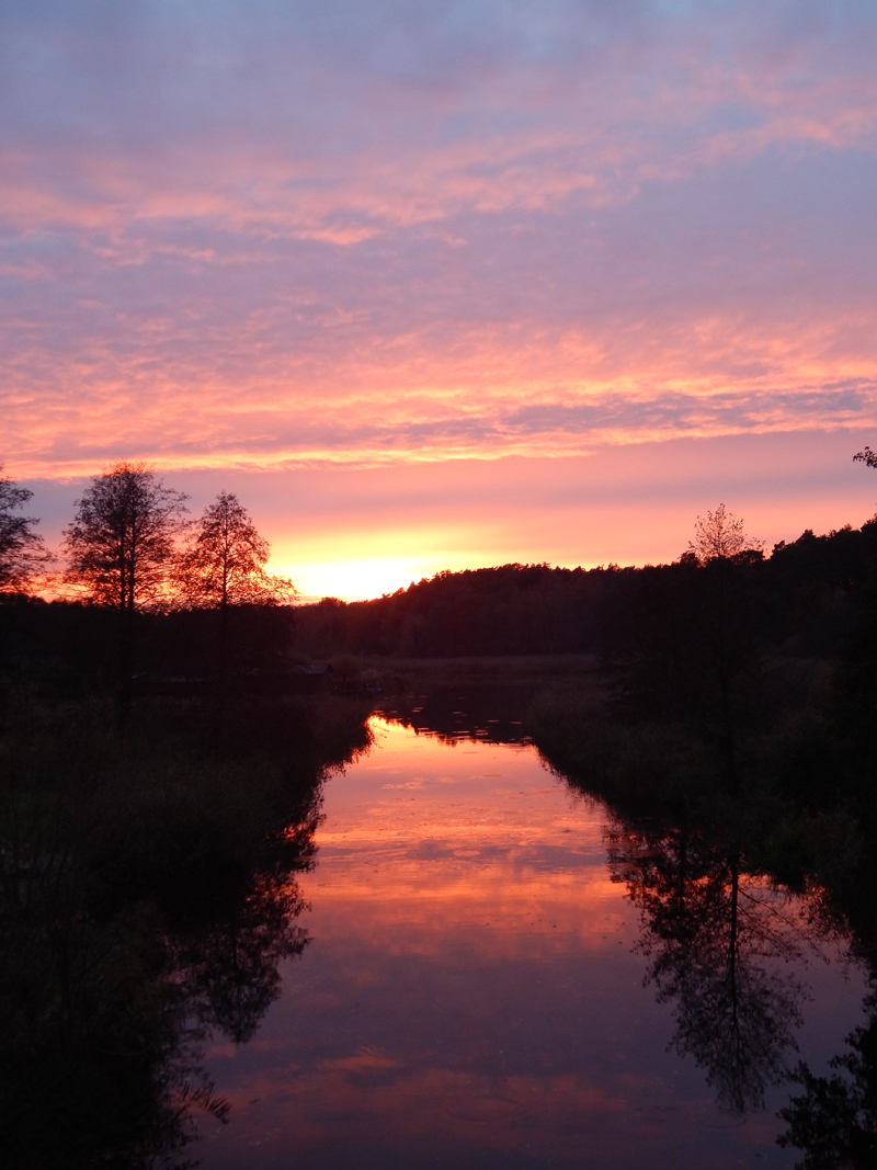 Templiner Kanal am Wiesenhof 