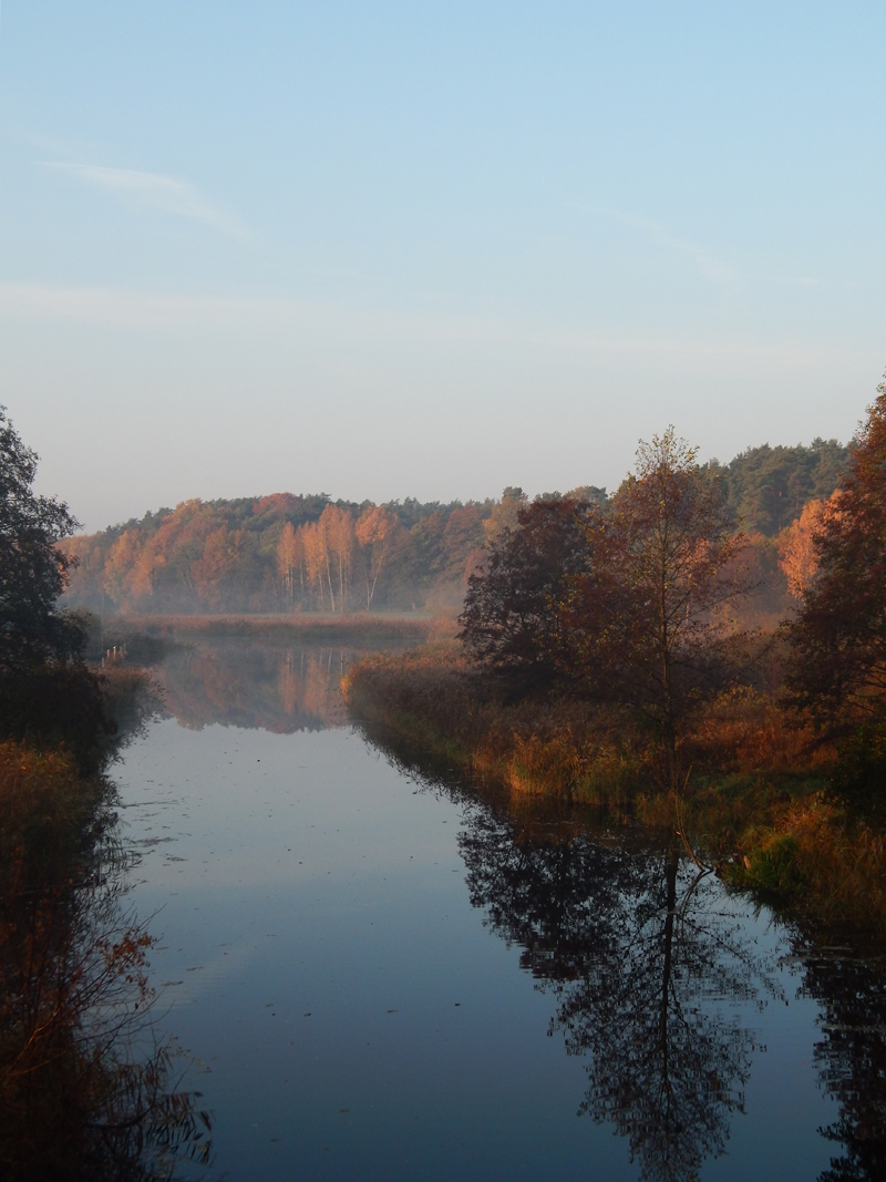 Templiner Kanal am Wiesenhof im Herbst