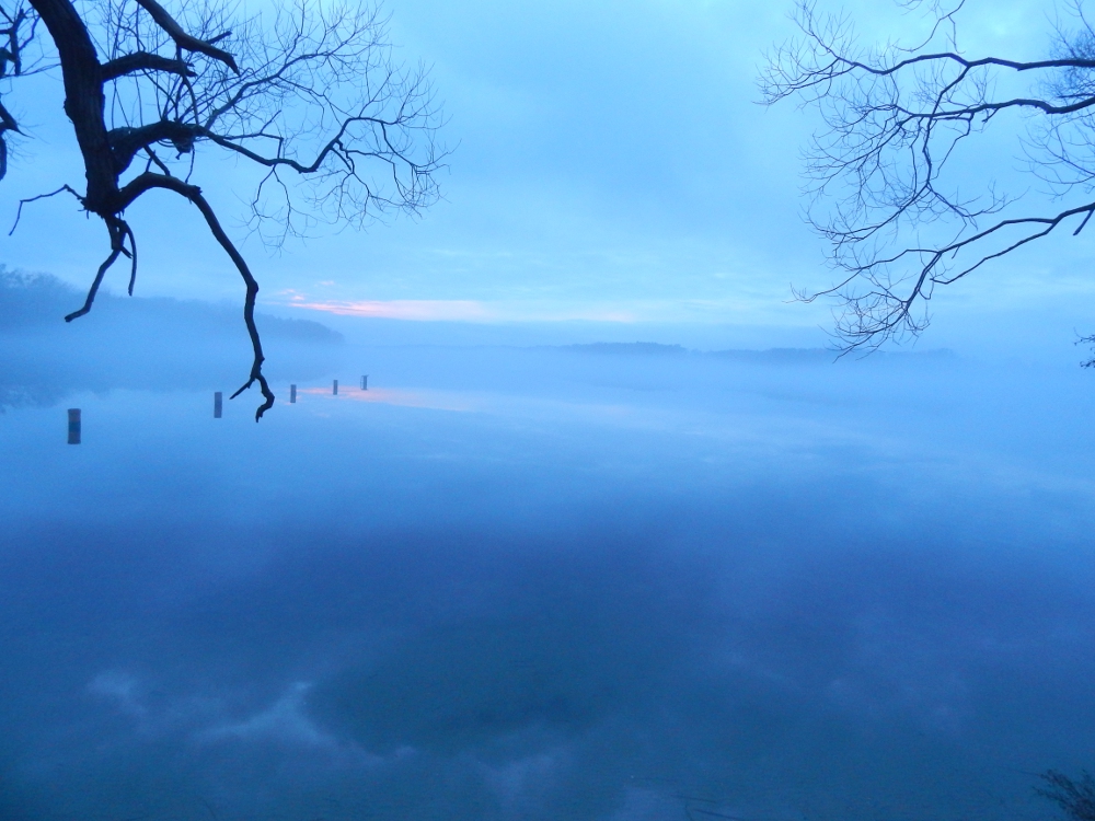 Röddelinsee im Winternebel