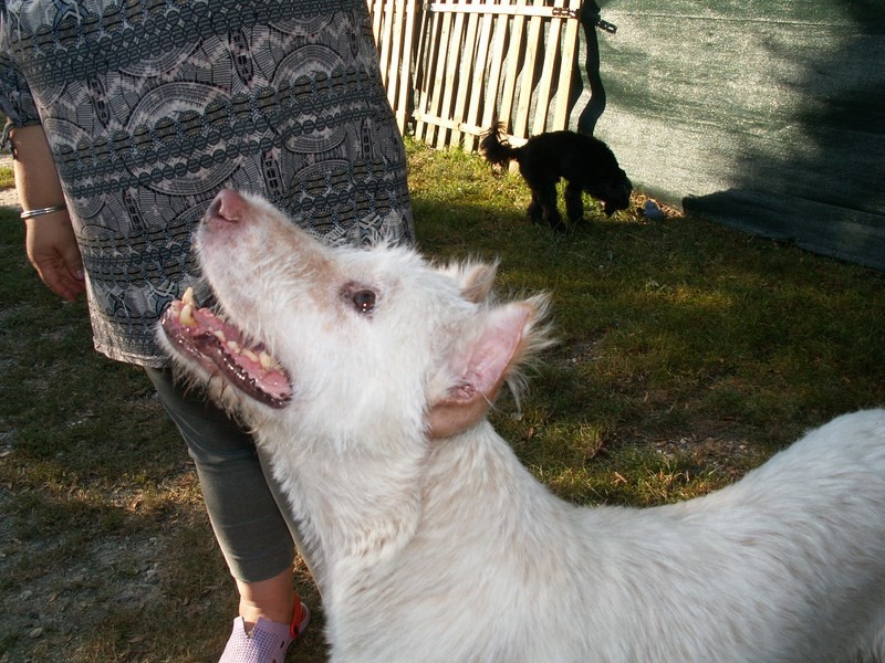 Gwendal en visite à Mazarin - Septembre 2014