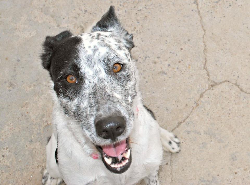 NICOLE - Hogar de Paz