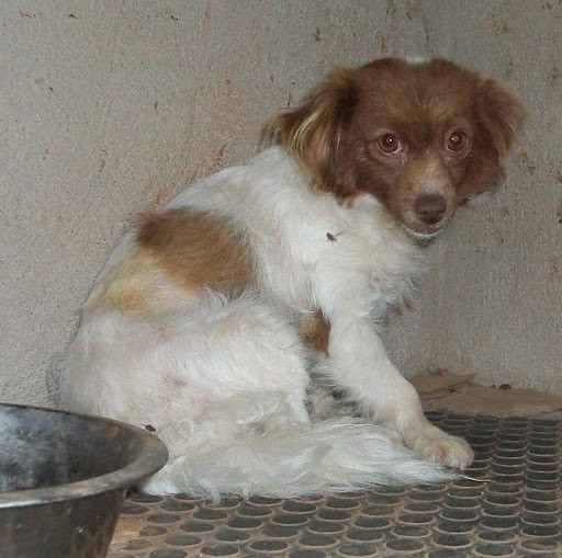 TONA en Famille d'accueil