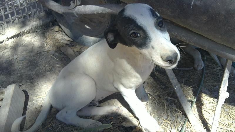ABAN en Famille d'accueil