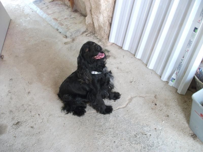 SWELLA en Famille d'accueil