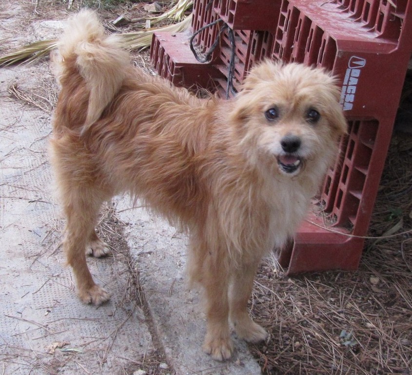 LEONIDAS en accueil (41)