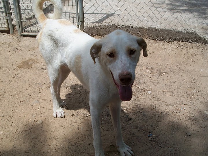 CRONOS en accueil (82)