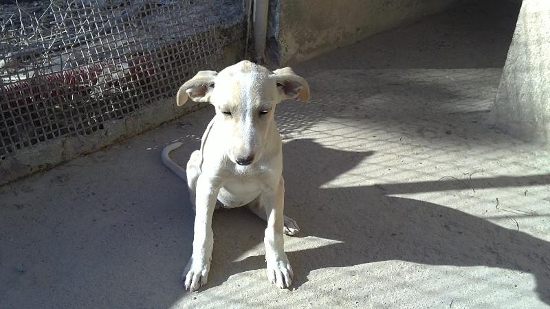 TALA en Famille d'accueil