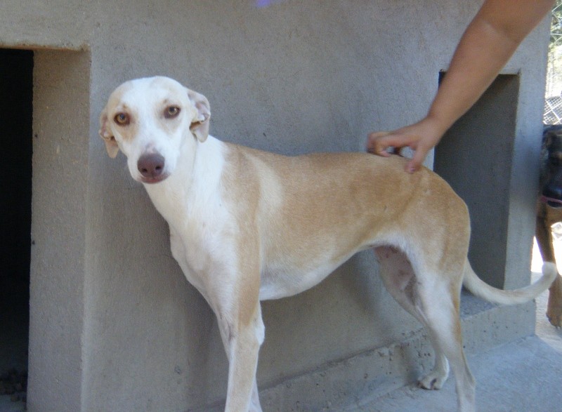 CALA en accueil (41)