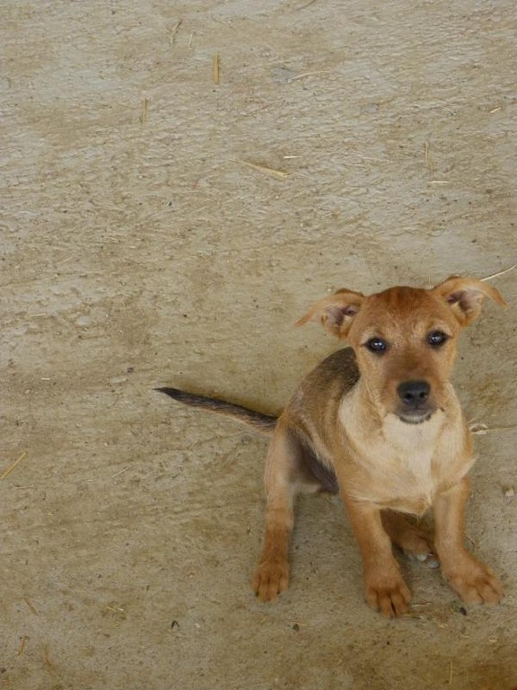 ALBA en accueil (37)