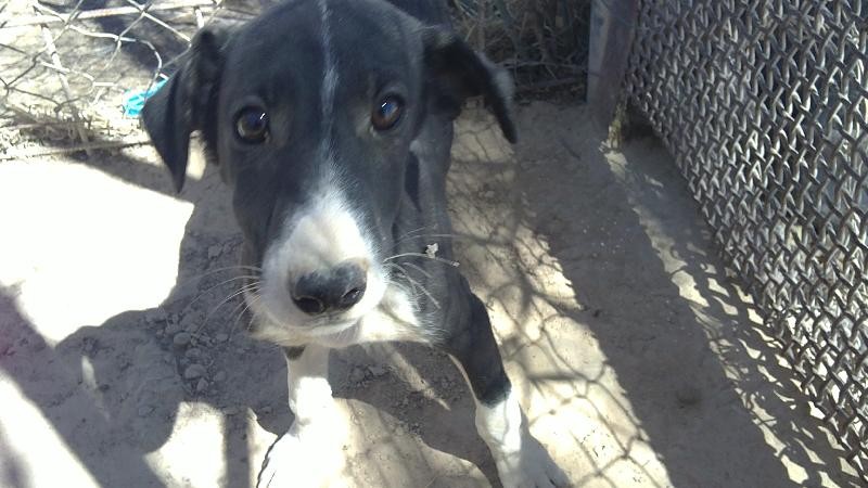 LATIF en Famille d'accueil