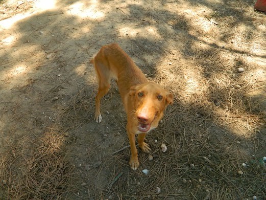 J'ai de beaux yeux hein!