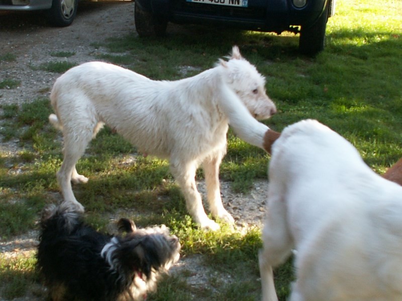 Gwendal en visite à Mazarin - Septembre 2014