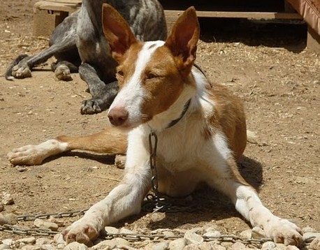 DIMAS en Famille d'accueil