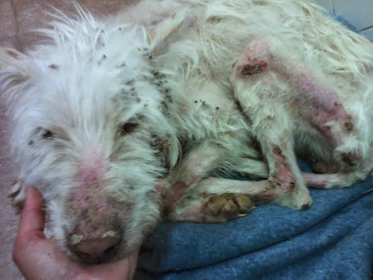 Gwendal en Avril 2014