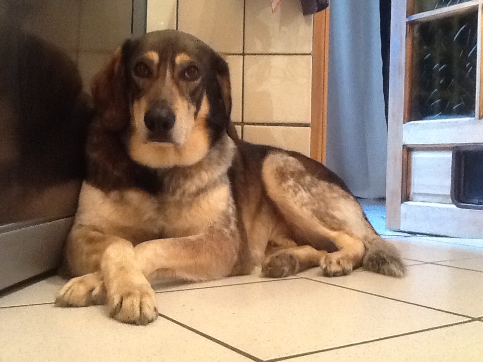 Dans notre cuisine, les pattes croisées. Quelle classe !