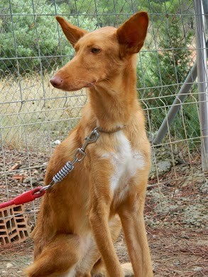 J'attends ma famille