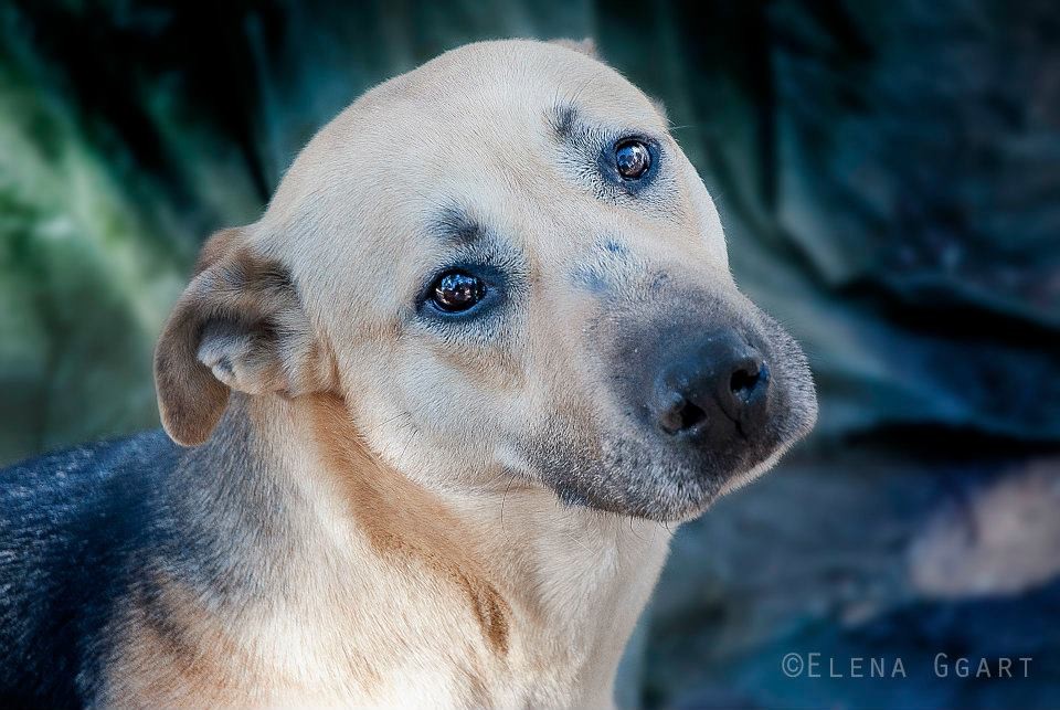 BECA en accueil attend sa famille depuis 4 ans